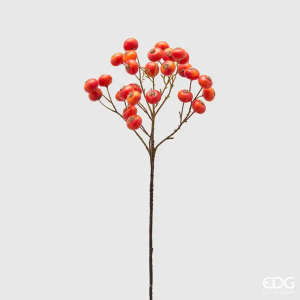 EDG Enzo De Gasperi Ramo Bacche H60 cm Rosso Offerta