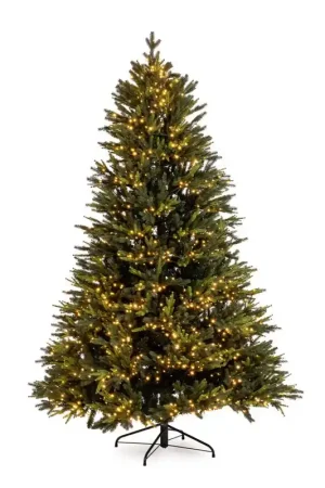 Andrea Bizzotto Albero di Natale Pino Berkshire 9896 Rami 3100 Led H270 cm Economico