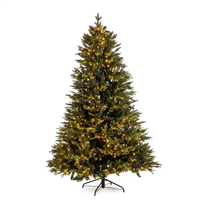 Andrea Bizzotto Albero di Natale Pino Berkshire 9896 Rami 3100 Led H270 cm Economico