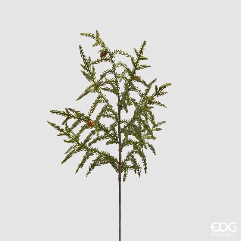 EDG Enzo De Gasperi Ramo di Criptomeria con Pigna H68 cm Subito Disponibile