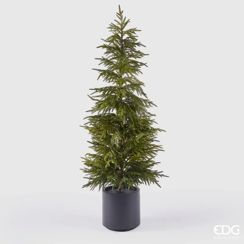 EDG Enzo De Gasperi Pino Cryptomeria in Vaso H152 cm Real Touch Professionale