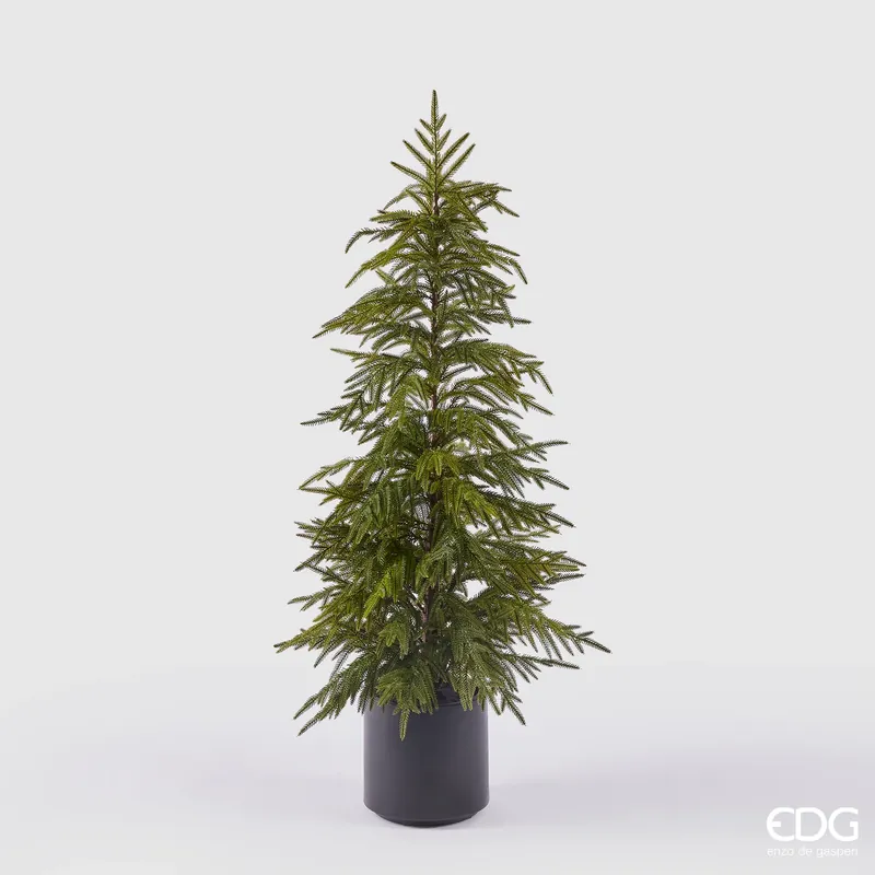 Spedito Oggi EDG Enzo De Gasperi Pino Cryptomeria in Vaso H120 cm Real Touch