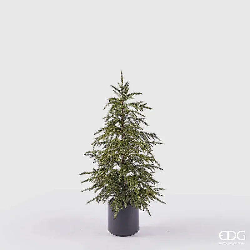 Direttamente Dal Produttore EDG Enzo De Gasperi Pino Cryptomeria in Vaso H90 cm Real Touch