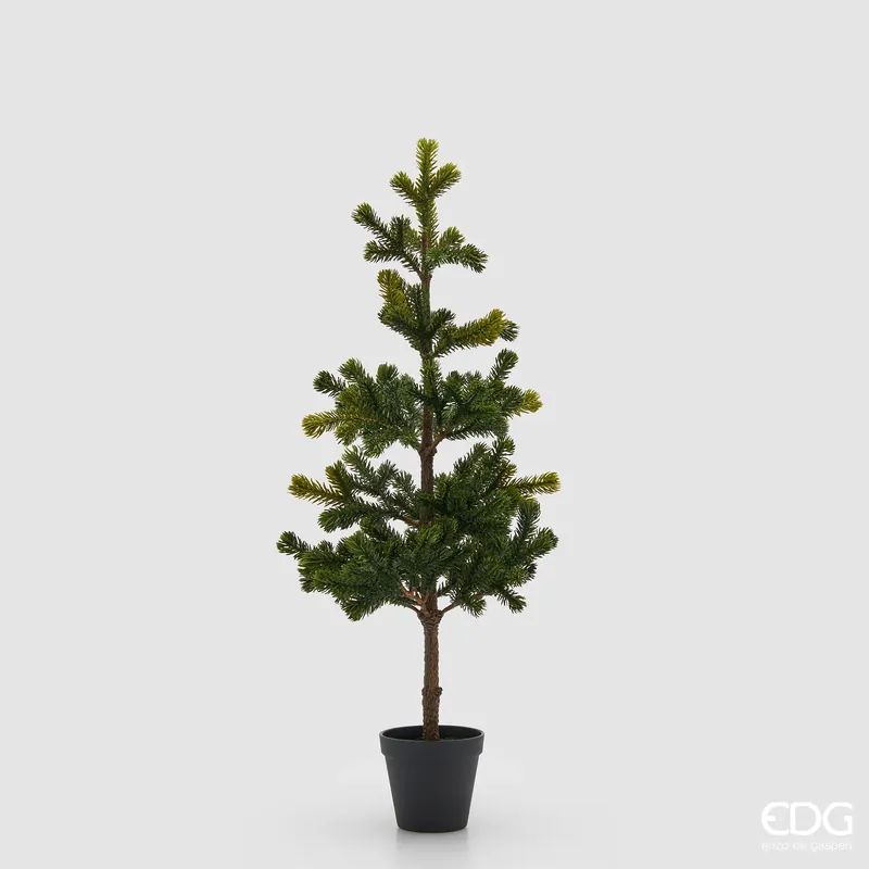 EDG Enzo De Gasperi Pino Con Vaso H71 cm Esclusivo