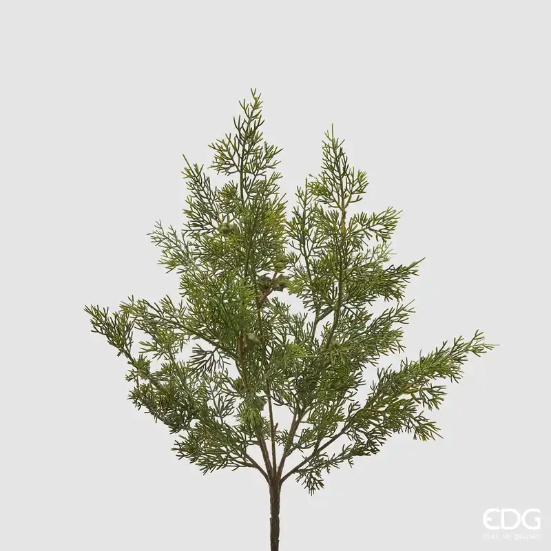 EDG Enzo De Gasperi Ramo di Thuja H50 cm Offerta Limitata