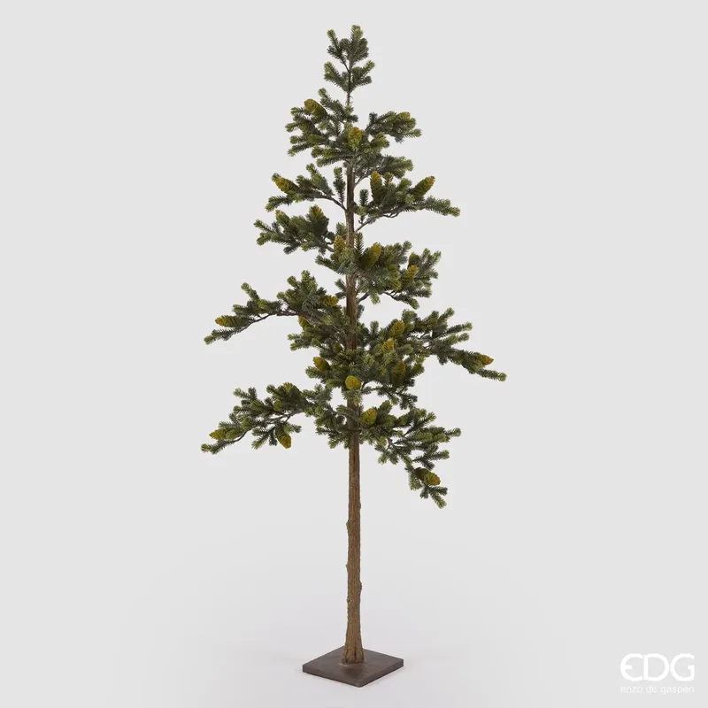 Promozione Esclusiva EDG Enzo De Gasperi Pino Con Pigne e Base H170 cm