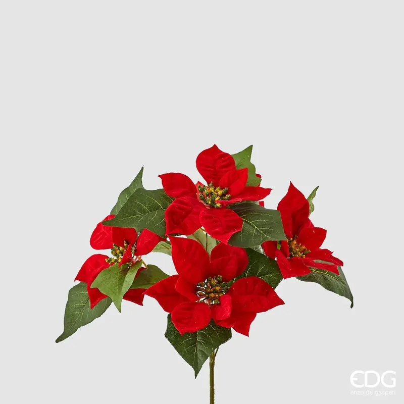 Più Venduto EDG Enzo De Gasperi Mazzo Stelle di Natale Real 5 Fiori H30 cm