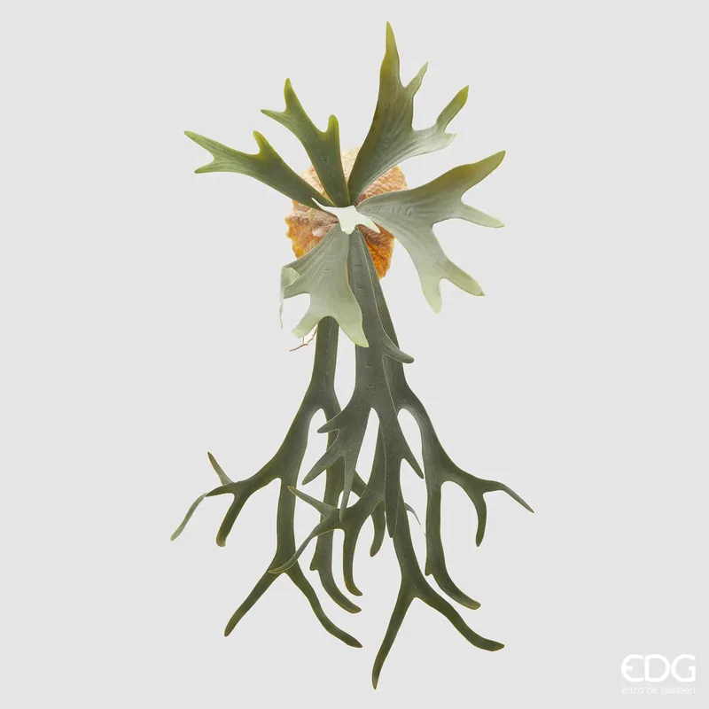 EDG Enzo De Gasperi Ramo Artificiale di Platycerium da Vaso H66 cm Direttamente Dal Produttore
