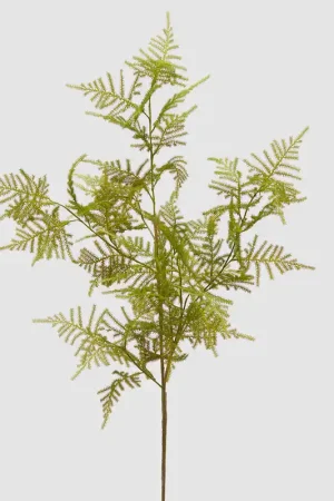 Acquista Ora EDG Enzo De Gasperi Ramo Artificiale Asparagus H97 cm