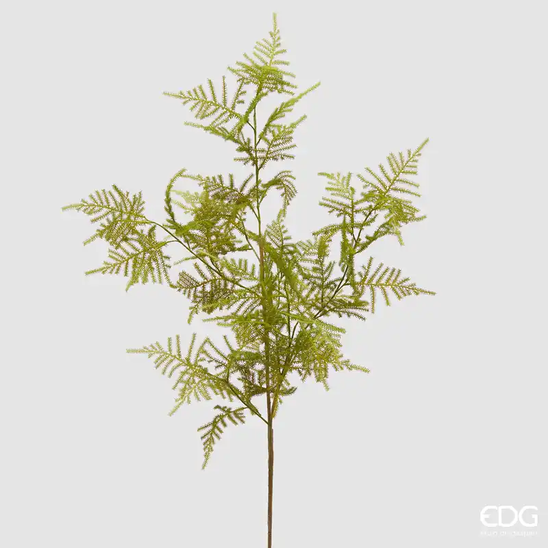 Acquista Ora EDG Enzo De Gasperi Ramo Artificiale Asparagus H97 cm