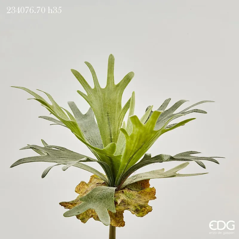 EDG Enzo De Gasperi Ramo Artificiale di Platycerium da Vaso H35 cm Professionale