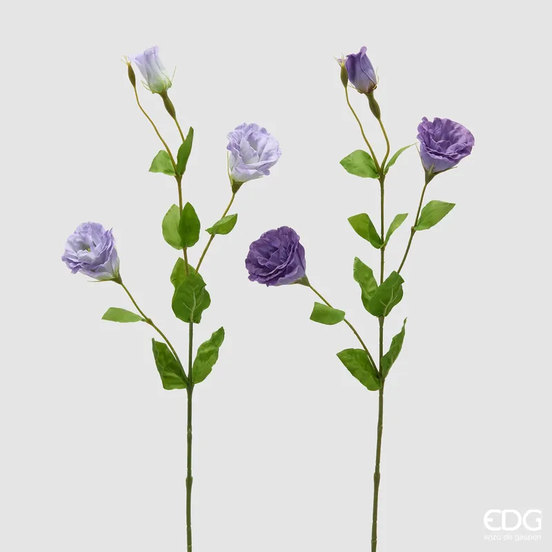 EDG Enzo De Gasperi Set 2 Rami di Lisiantus H71 cm Viola e Lilla Professionale