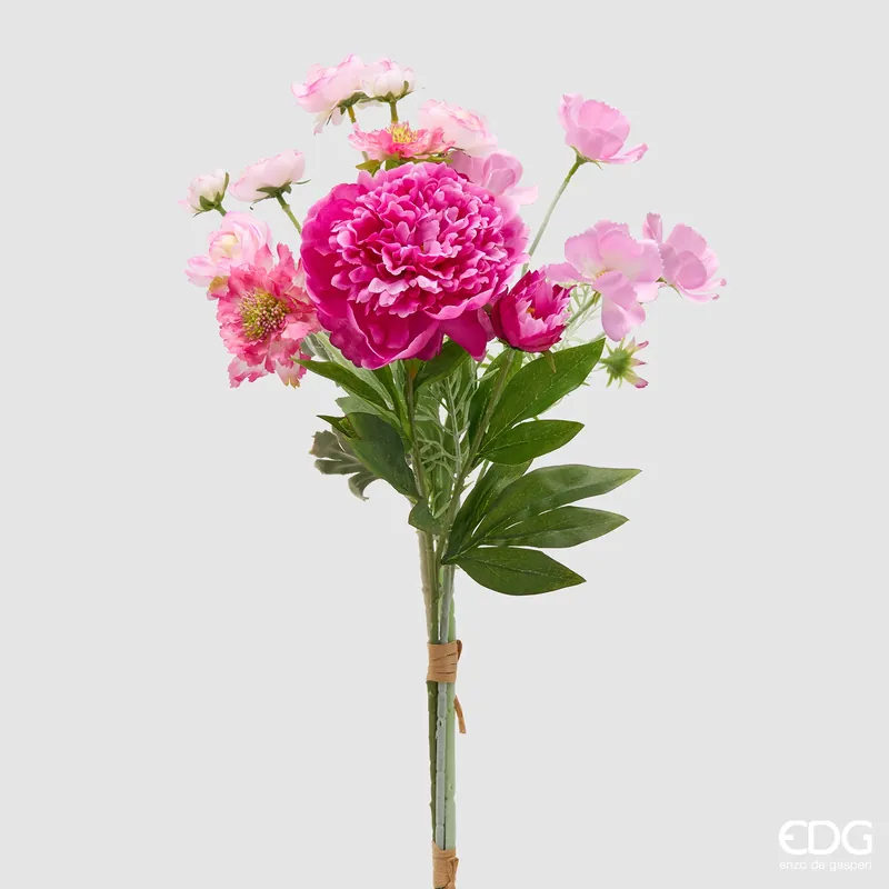 Prezzo Basso EDG Enzo De Gasperi Cespuglio Peonia H60 cm Fuchsia