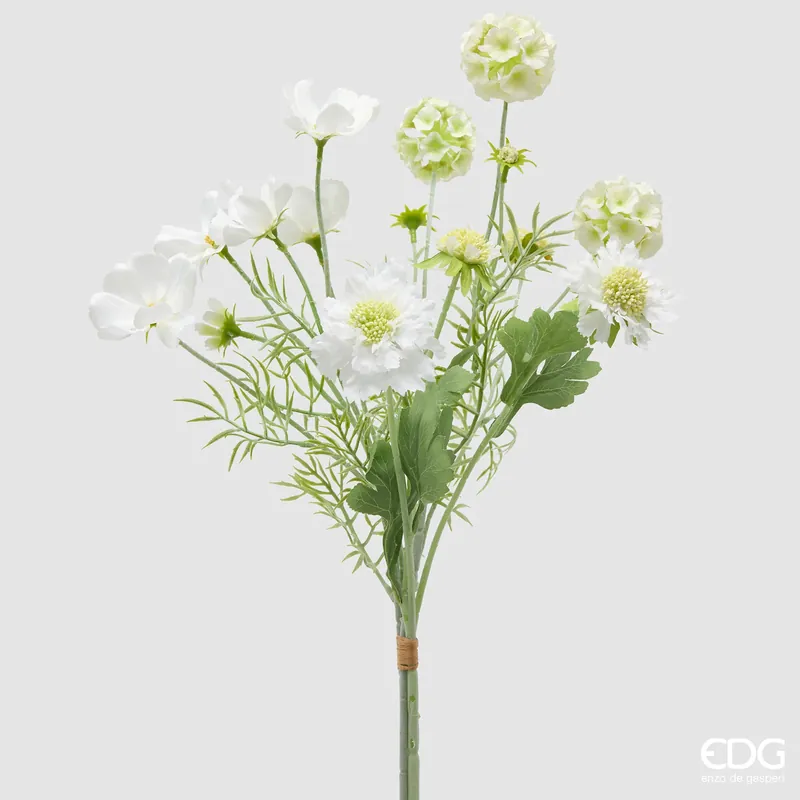EDG Enzo De Gasperi Cespuglio Scabiosa H62 cm Bianco Direttamente Dal Produttore
