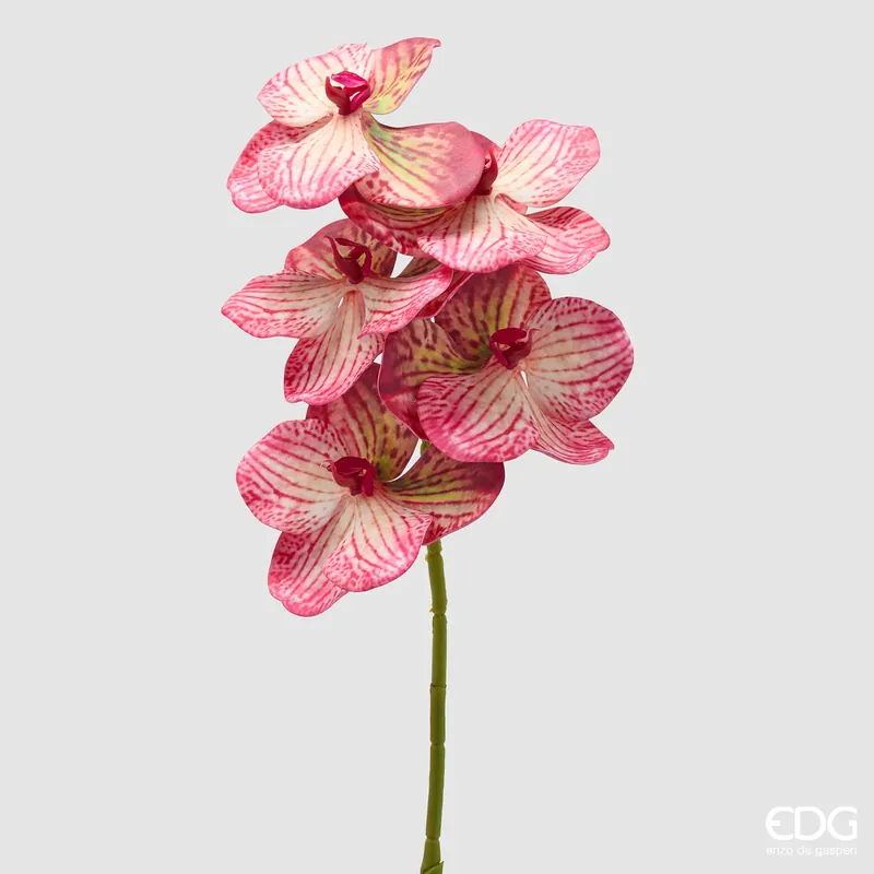 Direttamente Dal Produttore EDG Enzo De Gasperi Ramo Artificiale di Orchidea Vanda H65 cm Rosa