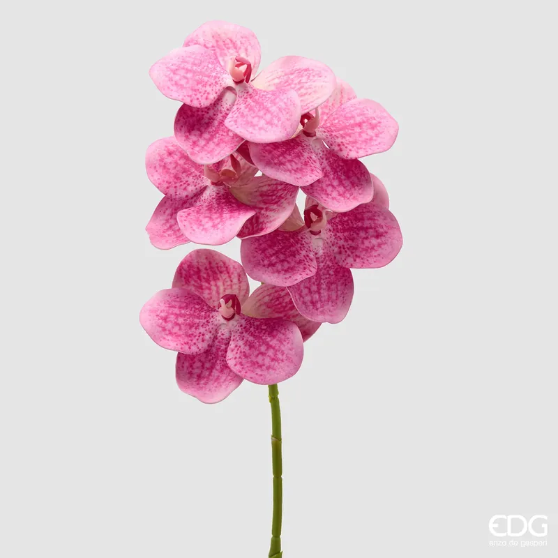 Solo Oggi EDG Enzo De Gasperi Ramo Artificiale di Orchidea Vanda H65 cm Fuchsia