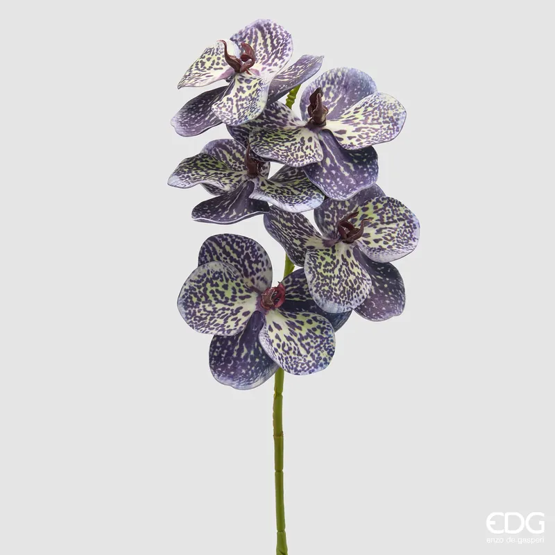 EDG Enzo De Gasperi Ramo Artificiale di Orchidea Vanda H65 cm Viola Scuro Saldi