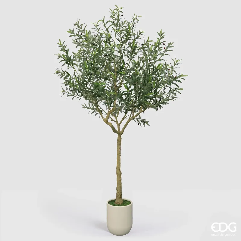 Compra Oggi Stesso EDG Enzo De Gasperi Pianta Artificiale Olivo Vouge con Vaso H240 cm