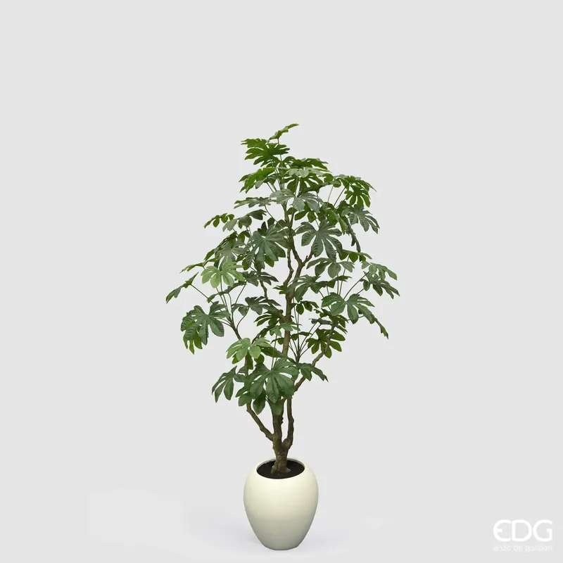 EDG Enzo De Gasperi Pianta Artificiale Aralia Vogue con Vaso H230 cm Offerta Del Giorno