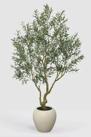 Affare EDG Enzo De Gasperi Pianta Artificiale Olivo Vouge con Vaso H240 cm