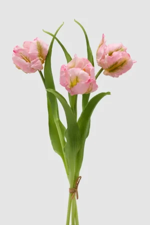 Ultime Pezzi EDG Enzo De Gasperi Tulipano Parrot 3 Fiori H40 cm Rosa