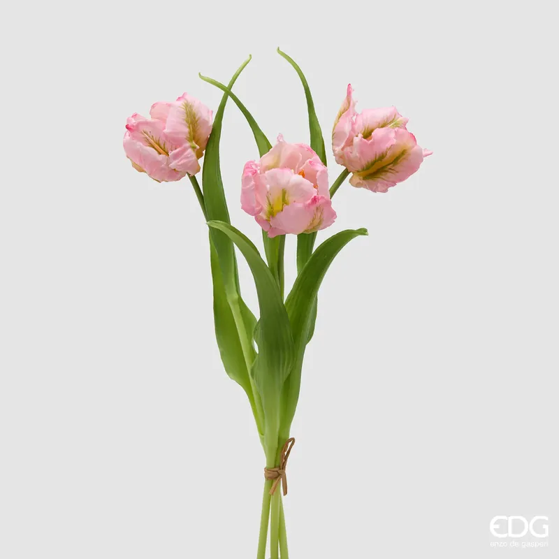 Ultime Pezzi EDG Enzo De Gasperi Tulipano Parrot 3 Fiori H40 cm Rosa
