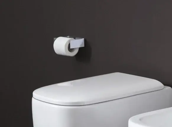 Subito Disponibile Sedile wc rallentato Termoindurente Soft Close Bianco Matt Semplice 005706003 Nic Design