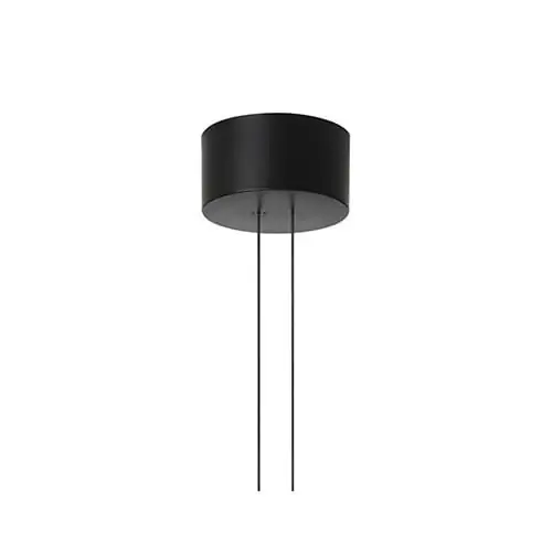 Flos Arrangements Big Rose F0415030 rosone per lampade Arrangments Nero Prezzo Scontato