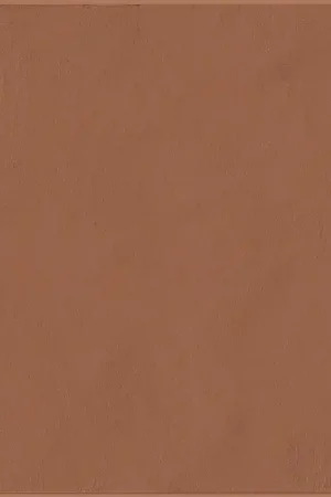 Compra Adesso Mutina Tierras Frame Piastrella Cm 20x30 Rettificato In Gres Porcellanato Brick
