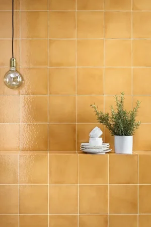 Miglior Prezzo Rivestimento 20x20 Arancione Lucido Ceramica Sant Agostino Vita Colours CSAVARLU20