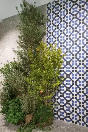 Ceramica Sant Agostino Vita Sole 03 Lucido Decoro 20x20 Cm Scelto Dai Clienti