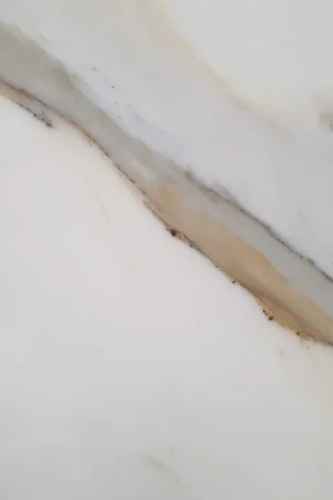 La Fenice Calacatta rivestimento 60x120 per interni prima scelta in marmo calacatta gold Compra Adesso