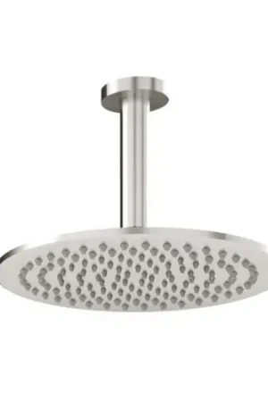 Nuovo Arrivo Treemme 22mm Soffione doccia a soffitto 255 mm braccio a soffitto inox satinato