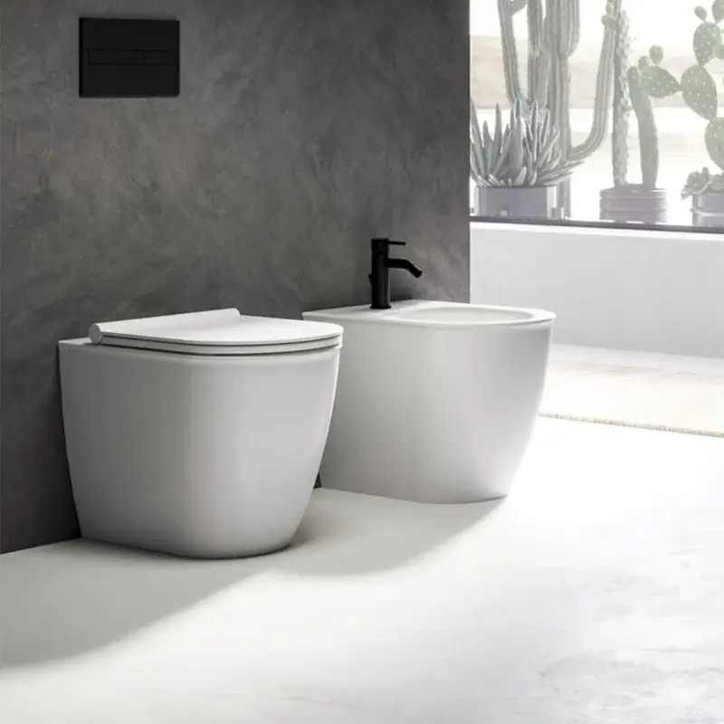 Ceramica Dolomite Coppia sanitari filomuro con sedile softclose bianco opaco Mayka Offerta Speciale