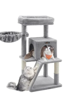 Compra Oggi Stesso Tiragraffi per Gatti