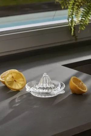 Reso Gratuito Spremiagrumi da cucina